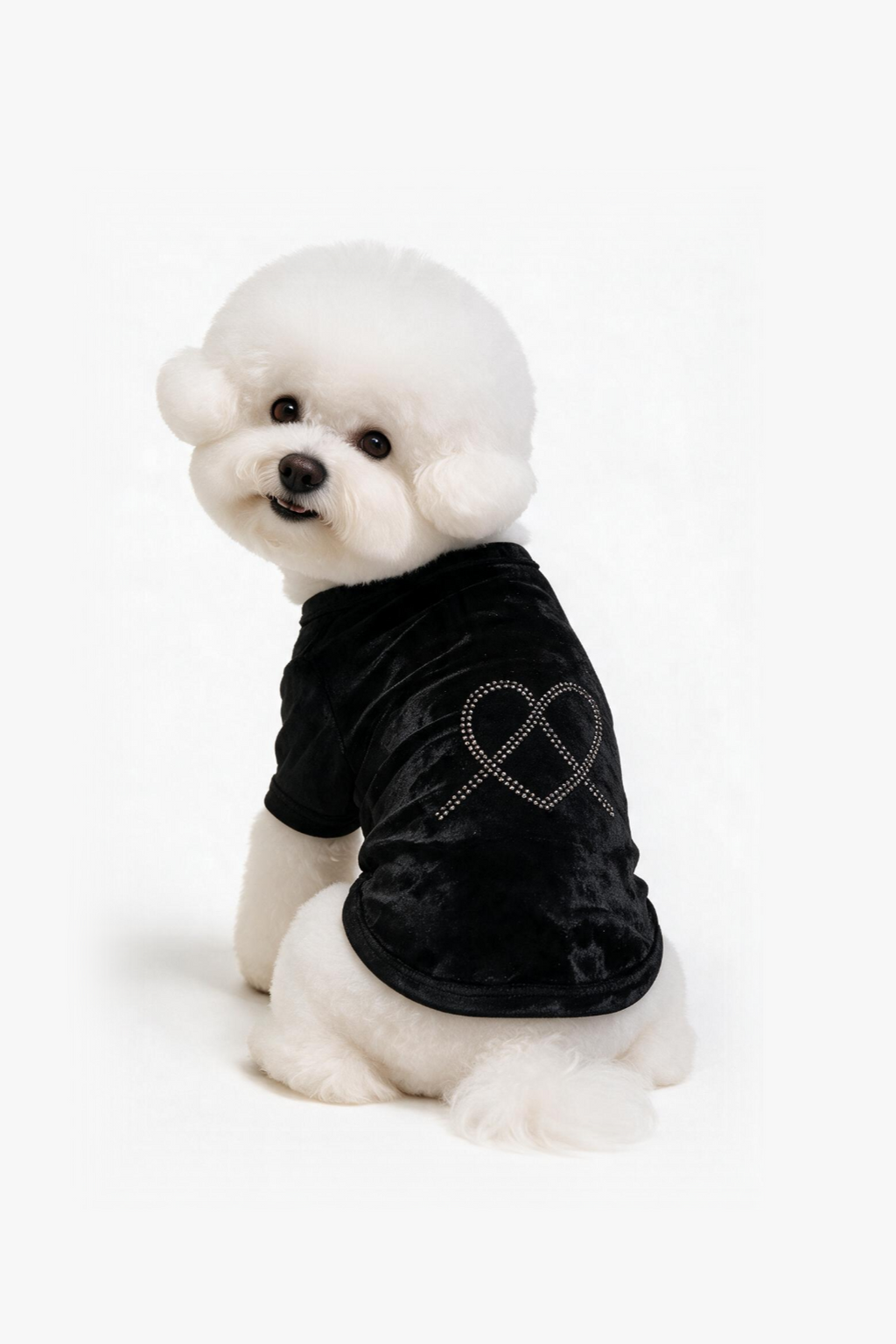 Luma Velvet Dog Tee - Black DOGS · UNISEX - Smoky Crystal