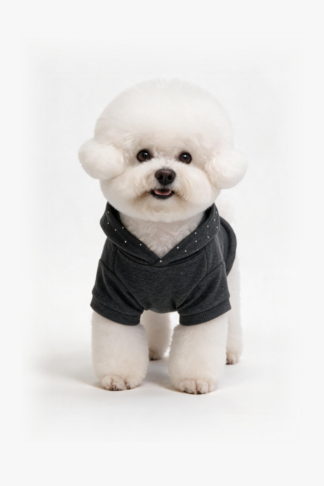 Stellar Halo Dog Hoodie DOGS · UNISEX