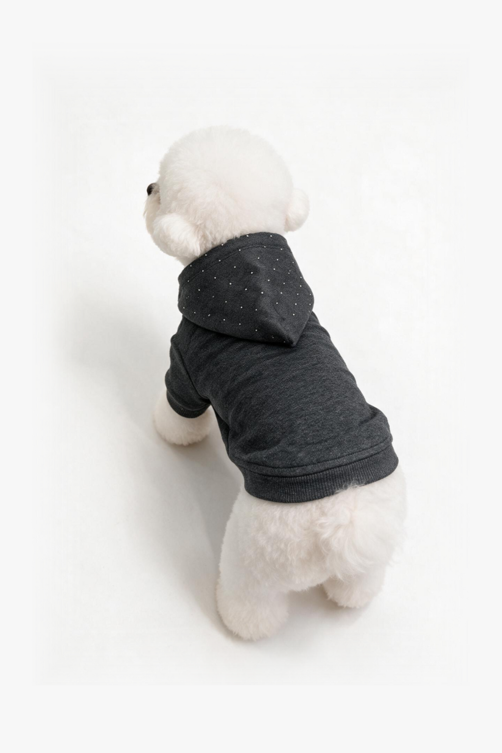 Stellar Halo Dog Hoodie DOGS · UNISEX
