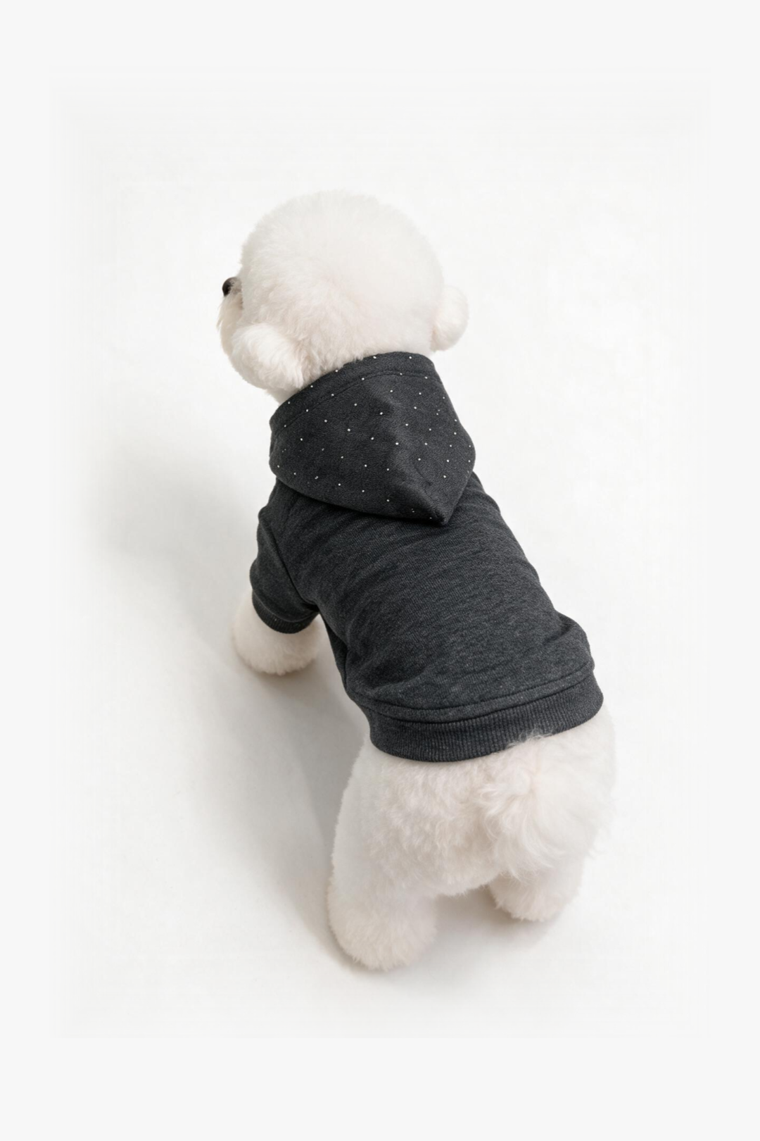 Stellar Halo Dog Hoodie DOGS · UNISEX