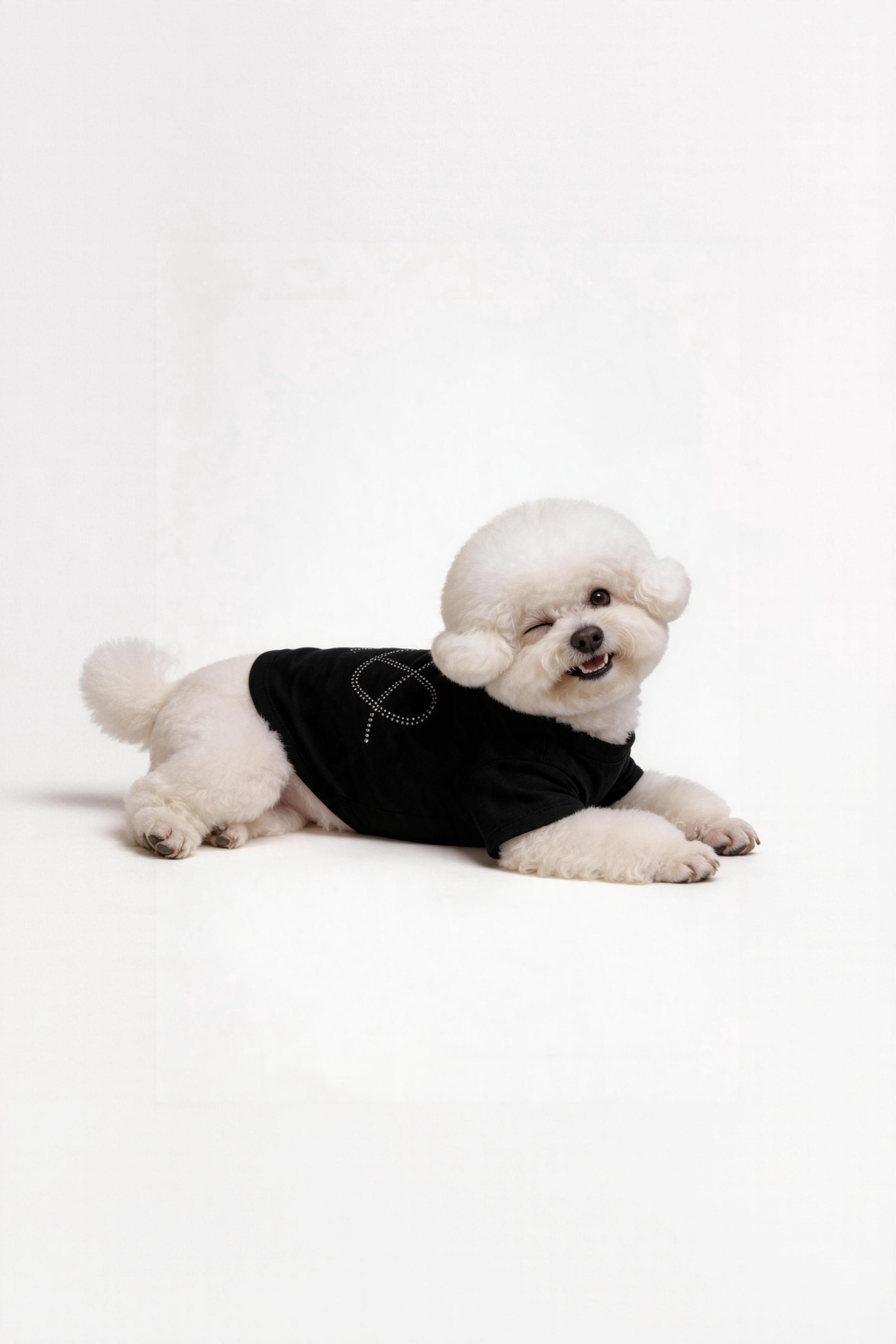 Nocturne Dog Tee - Black DOGS · UNISEX - Smoky Crystal