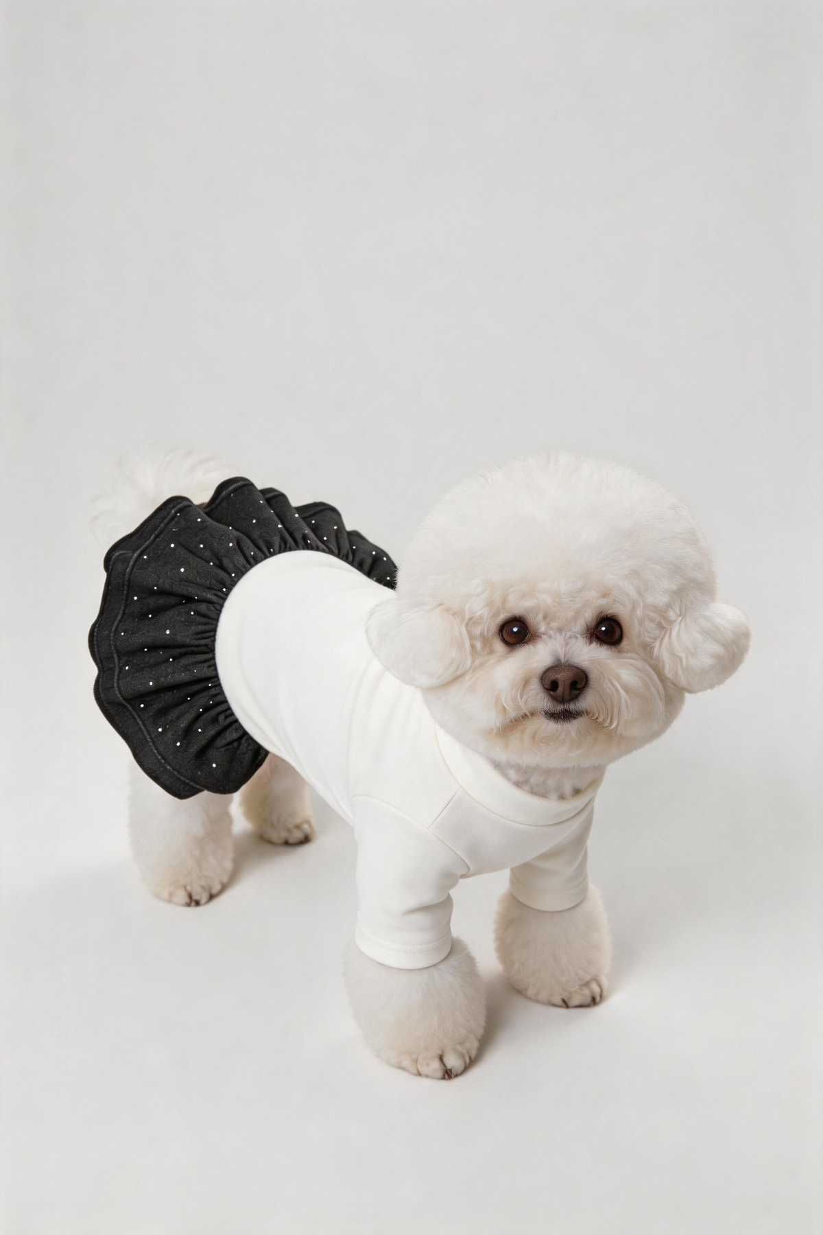 Starlit Dog Dress — White DOGS · GIRLS
