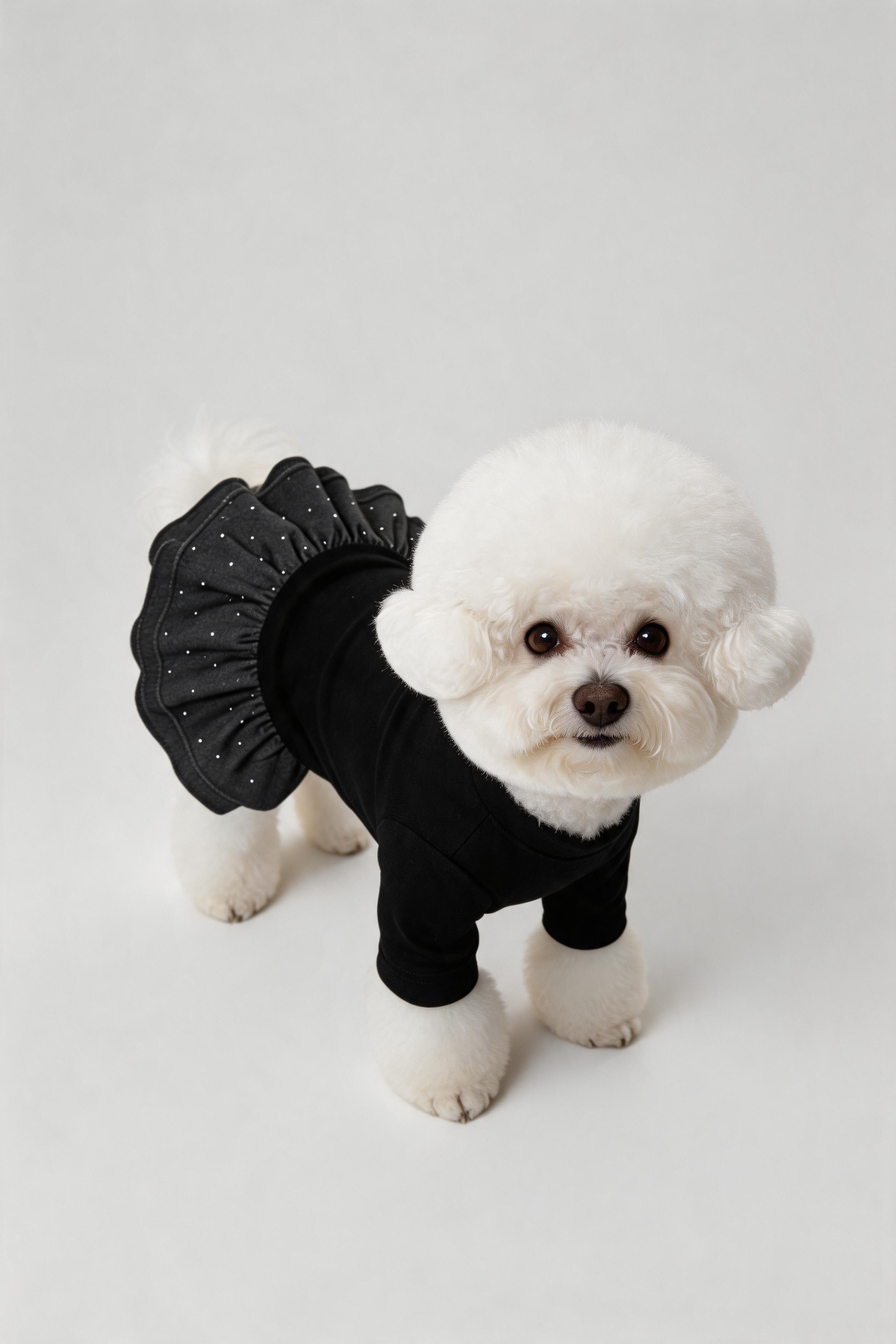 Starlit Dog Dress — Black DOGS · GIRLS